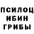Псилоцибиновые грибы Psilocybe Tasher Doshik