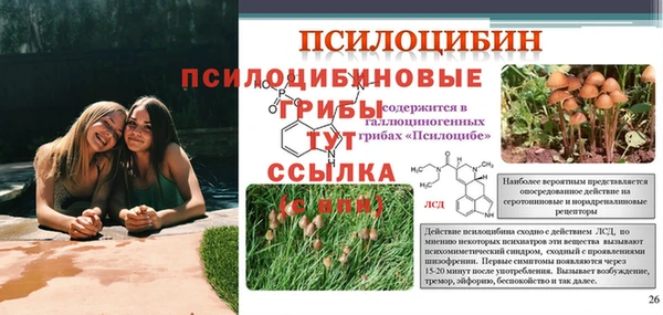 стафф Бронницы