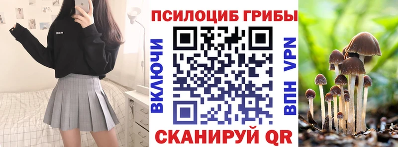 Псилоцибиновые грибы Psilocybe  маркетплейс как зайти  Новохопёрск 